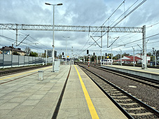 min 790 45.jpg